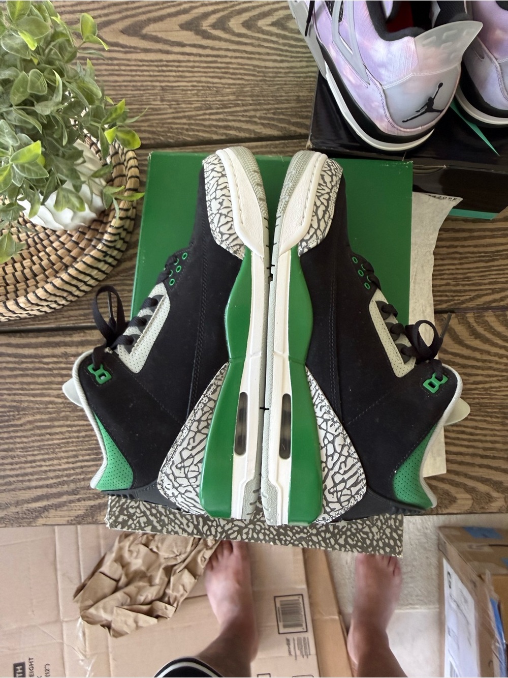 Retro 3 pine - Picture 4 of 9
